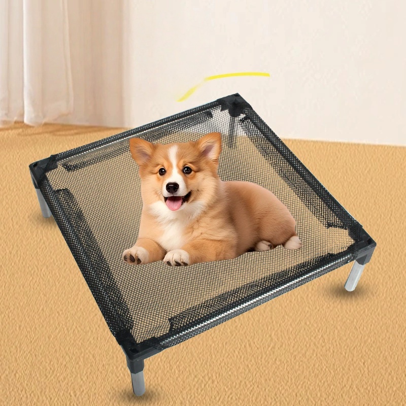 냉각 강화 개 침대 - 개, 고양이용으로 높이 조절,  - Outdoor Camping Couch 리뷰 및 가격